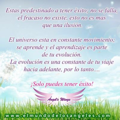 whatsapp-image-2016-09-14-at-7-18-40-pm_orig